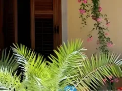 Oasi da Paolo