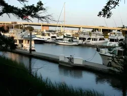 SpringHill Suites by Marriott Charleston Downtown/Riverview