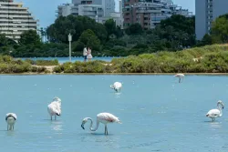 AR Roca Esmeralda Wellness & Spa Hotel
