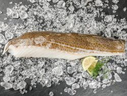 Kabeljau-Filet Royal mit Haut, MSC ca. 800g