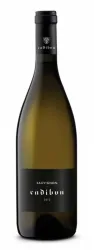 Sauvignon DOP Collio Cadibon - 2023 - Friaul, Italien