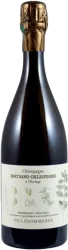 Villedommange Extra Brut 1er Cru AC Bertrand-Delespierre - 2019 - Champagne, Frankreich