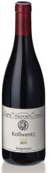 Pinot Noir Durr Anton Kollwentz - 2017 - Burgenland, Österreich
