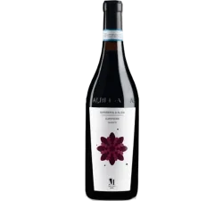 Barbera d'Alba DOCG Superiore Ausario Molino - 2022 - Piemont, Italien