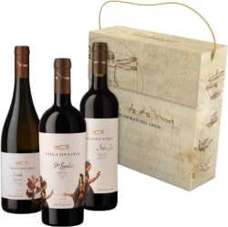 Leonardo Da Vinci Trio Cantine Leonardo da Vinci - Toskana, Italien