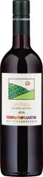 Brachetto delle Langhe Anthos Vdt Matteo Correggia - 2023 - Piemont, Italien