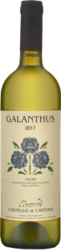 Ticino DOC Bianco di Merlot Galanthus Castello di Cantone - 2023 - Tessin, Schweiz