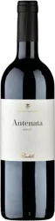 Antenata Toscana IGT Bindella / Tenuta Vallocaia - 2022 - Toskana, Italien