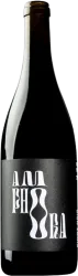Amphora Pinot Noir dry 2021 Weigand - 2022 - Franken, Deutschland
