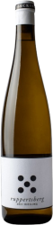 Ruppertsberg Riesling Weingut Seckinger - 2021 - Rheintal, Deutschland