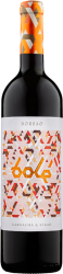 Bolé Campo de Borja DO Bodegas Borsao - 2020 - Oberer Ebro, Spanien