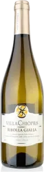 Ribolla Gialla delle Venezie Villa Chiopris San Giovanni al Natisone - 2024 - Friaul, Italien