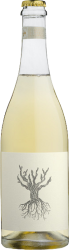 PetNat Metzer - 2022 - Coastal Region, Südafrika