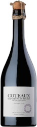 Côteaux Champenois Rouge AOC Fontaine Dieu Julien Prélat - 2020 - Champagne, Frankreich
