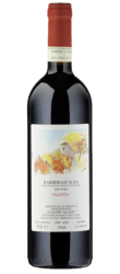 Barbera d'Alba Valletta DOC Alario Claudio - 2023 - Piemont, Italien
