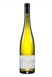 Trittenheimer Apotheke Riesling Sonnenfels F.J. Eifel - 2022 - Mosel-Saar-Ruwer, Deutschland