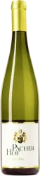 Riesling Alto Adige Valle Isarco Pacher Hof - 2024 - Trentino, Italien