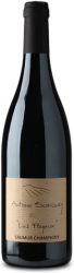 Champigny AB Les Poyeux Antoine Sanzay - 2020 - Loire, Frankreich