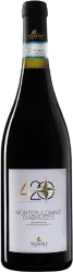 Montepulciano D'Abruzzo420 Torri Cantine - 2024 - Italien