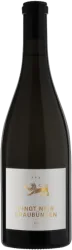 Pinot Noir Graubunden AOC Cottinelli - 2023 - Default Origin