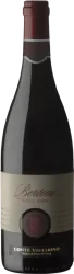 Bertone Pinot Nero DOC Conte Vistarino - 2020 - Lombardei, Italien