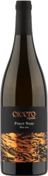 Cicero Signum Pinot Noir Malans AOC Graubünden Rutishauser-Divino - 2024 - Bündner Herrschaft, Schweiz