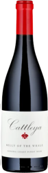 Pinot Noir Belly of the Whale Sonoma Coast Cattleya Wines - 2021 - Kalifornien, USA