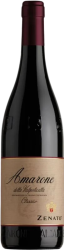 Amarone della Valpolicella Classico DOCG Zenato - 2019 - Veneto, Italien