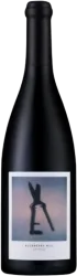 Stellenrust ArtiSons Shiraz Blueberry Hill Stellenrust - 2022 - Coastal Region, Südafrika
