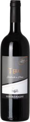T.Elis IGT Veneto Rosso Appassimento Tezza Fabio - 2018 - Veneto, Italien