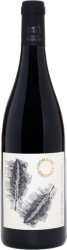 Syrah «la Pointe» IGT Comté Tolosan Domaine de Ribonnet - 2022 - Südwesten, Frankreich