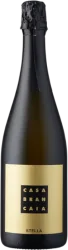 Stella V.S.Q. Brancaia - Toskana, Italien