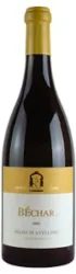 BECHAR DOCG Fiano di Avellino Caggiano - 2024 - Kampanien, Italien