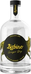Ginger Dry Gin Bisbino - Tessin, Schweiz