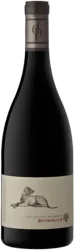 Diesel Pinotage Beyerskloof - 2020 - Coastal Region, Südafrika