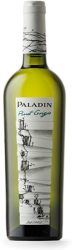 Pinot Grigio Cantina Paladin - 2024 - Veneto, Italien