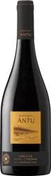 Antu Syrah Mountain Vineyard of Colchagua Valley Montgras - 2020 - Valle Central, Chile