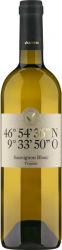 Varietas 36 Sauvignon Blanc Trimmis AOC Graubünden Rutishauser-Divino - 2025 - Bündner Herrschaft, Schweiz