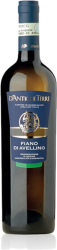 Fiano di Avellino DOCG D'Antiche Terre - 2024 - Kampanien, Italien