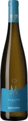 Tabano Vino Bianco IGT Montecappone - 2021 - Marche, Italien