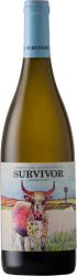 Chenin Blanc Survivor Wines - 2023 - Coastal Region, Südafrika