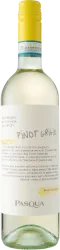 Capitolo 44 Pinot Grigio delle Venezie DOC Pasqua - 2025 - Veneto, Italien