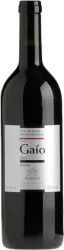 Gaio IGT Assemblaggio Trapletti - 2021 - Tessin, Schweiz