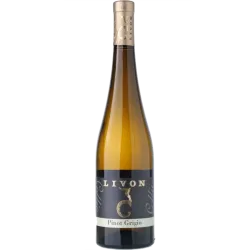 Pinot Grigio Collio Livon Dolengnano - 2025 - Friaul, Italien