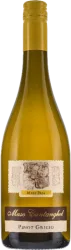 Maso Papa Pinot Grigio Vigna delle Dolomiti IGT Cantine Monfort - 2023 - Trentino, Italien
