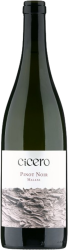 Cicero Pinot Noir Malans AOC Graubünden Rutishauser-Divino - 2024 - Bündner Herrschaft, Schweiz