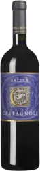 Salita Fattoria Rocca di Castagnoli - 2017 - Toskana, Italien