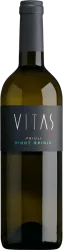 Pinot Grigio Friuli DOC Villa Vitas - 2023 - Friaul, Italien