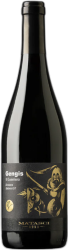 Gengis Svizzera Italiana Igt Matasci Vini - 2023 - Tessin, Schweiz
