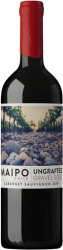 Cabernet Sauvignon Ungrafted De Martino - 2021 - Valle Central, Chile